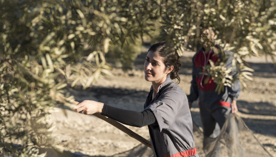 en-el-dia-internacional-de-las-mujeres-rurales:-las-mujeres-espanolas-en-el-sector-agrario