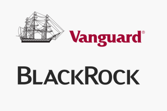 blackrock-y-vanguard:-los-actores-dominantes-del-mundo-de-los-etfs