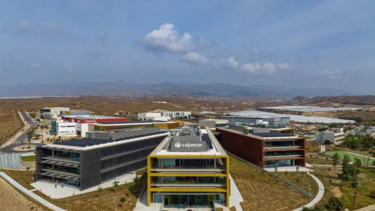 grupo-cajamar-roza-los-178-millones-de-beneficio-en-el-primer-semestre