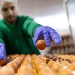 caso-de-exito:-¿como-huevos-guillen-reforzo-su-liderazgo-con-sage-x3?