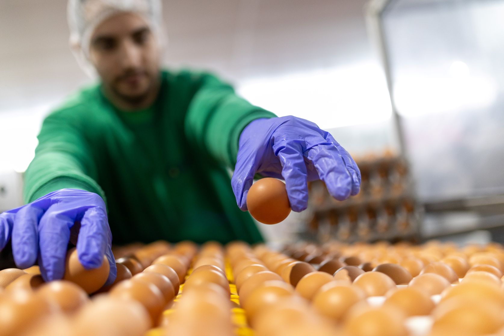 caso-de-exito:-¿como-huevos-guillen-reforzo-su-liderazgo-con-sage-x3?