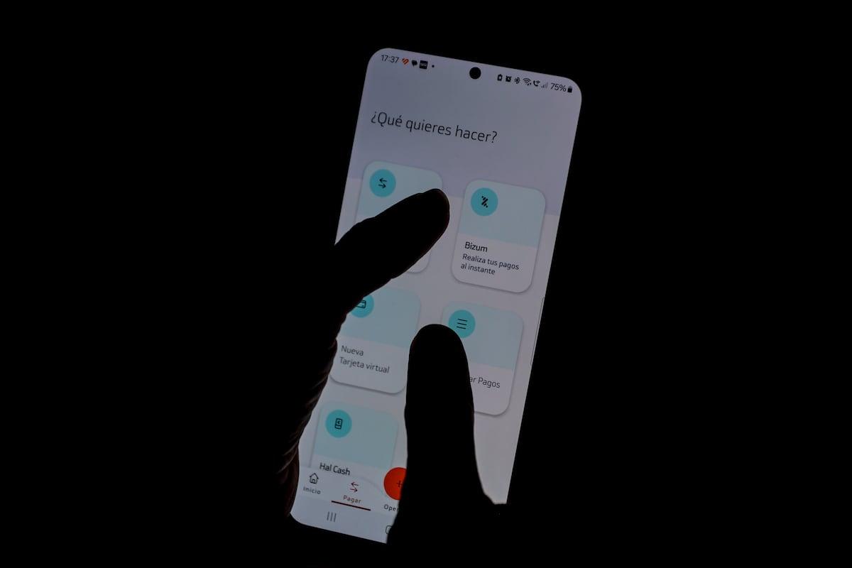 bizum-prepara-su-plataforma-para-pagar-en-comercios